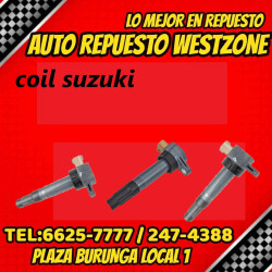 coil suzuki baleno