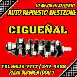 CIGUEÑAL TOYOTA COASTER...
