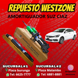 Amortiguador delantero...