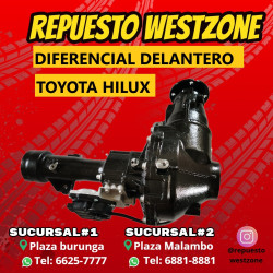 Diferencial delantero...