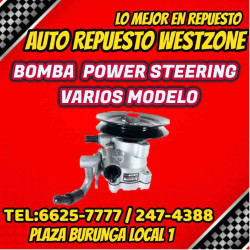 Bomba Power steering Mit Nativa Montero